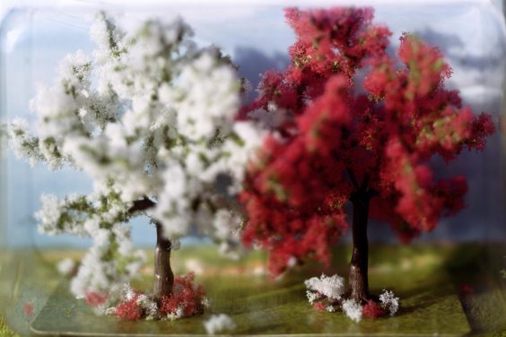 FOTO – KUNST – FOTO