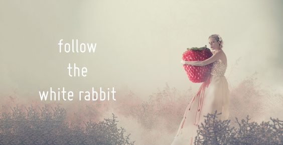 Workshops zur digitalen Dunkelkammer