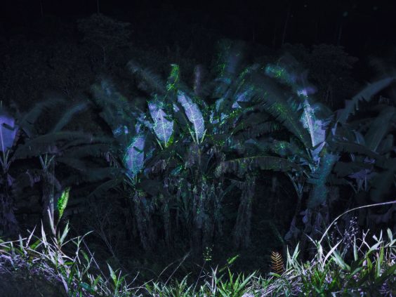 AFTER NATURE PRIZE 25