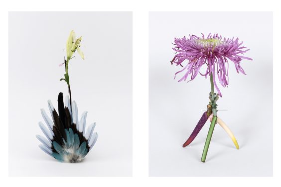 Katrin Greiner – Broken Flowers