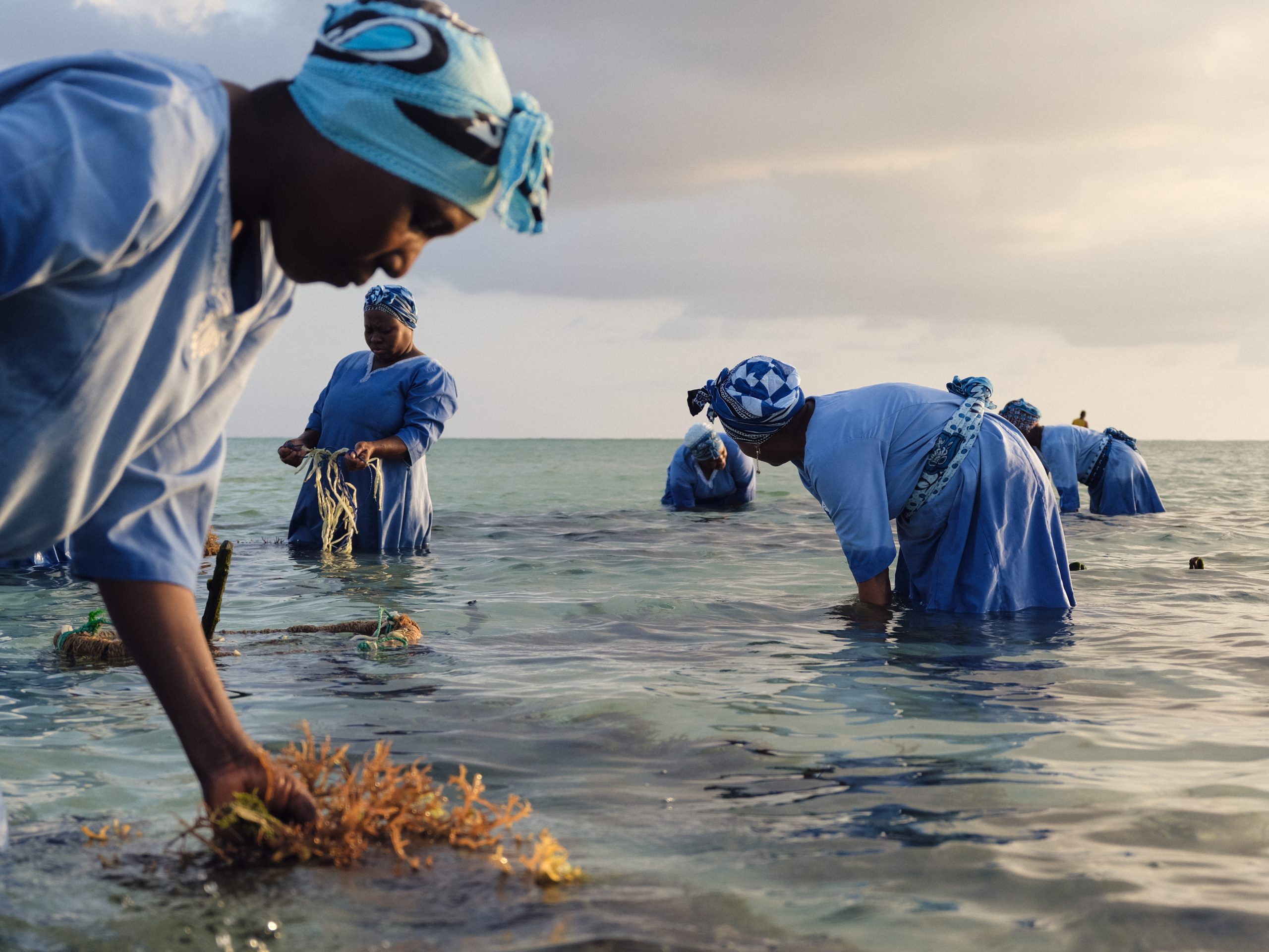 Climate Realities – Stories from a Changing World