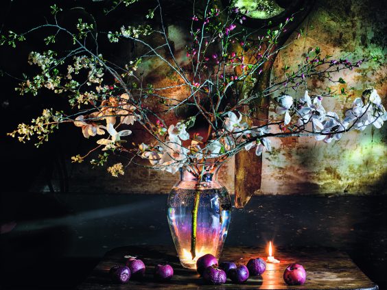 Vera Mercer – Life in Focus