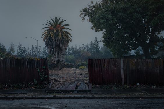 Mischa Lluch – Fading