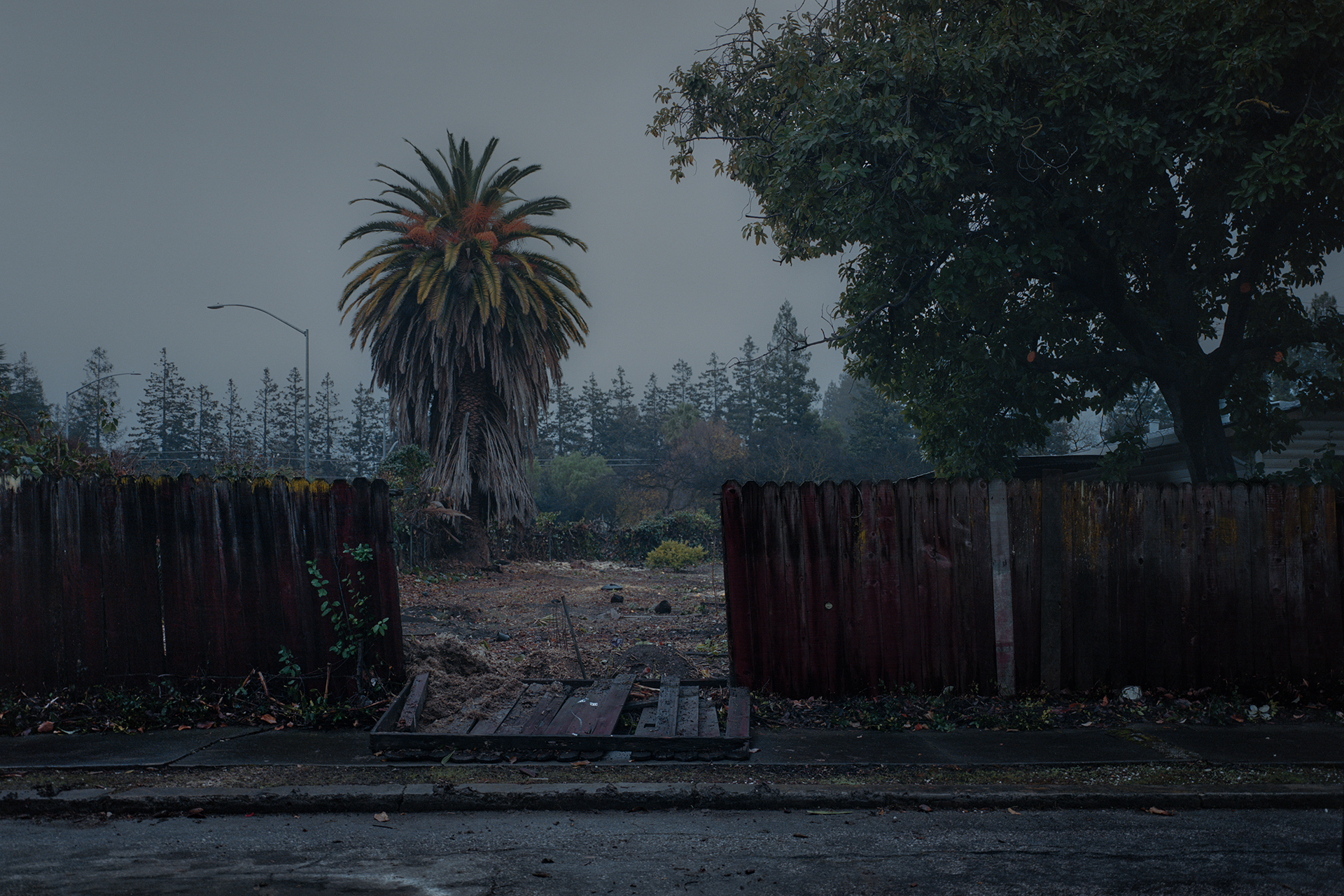 Mischa Lluch – Fading