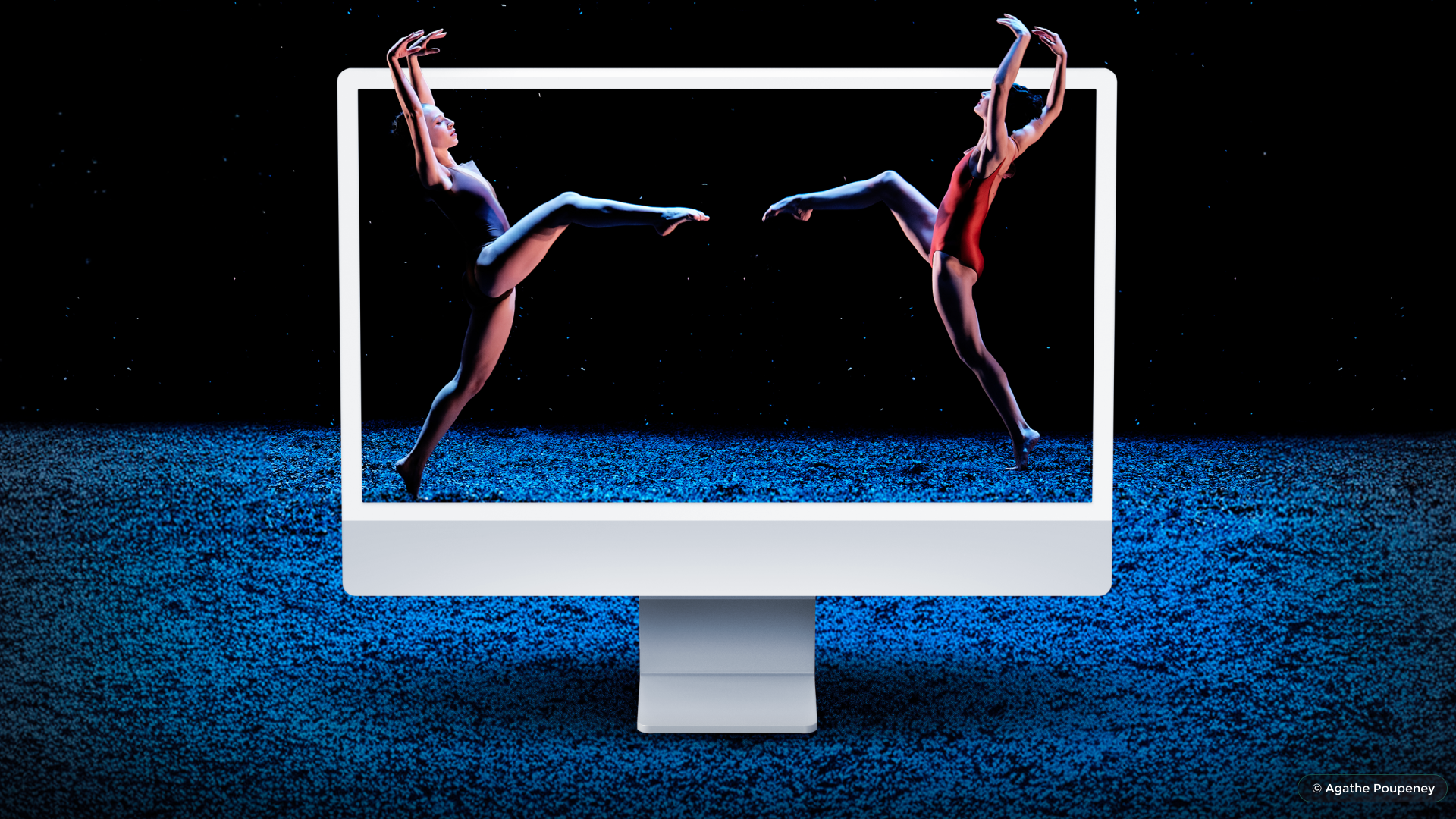 PhotoLab 9.2, PureRAW 5.5 und Nik Collection 8.2