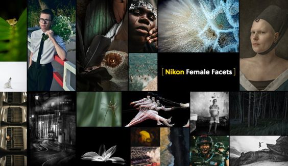 Statement weiblicher Bildkraft