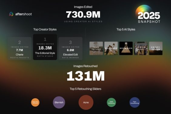 Snapshot 2025_Page 4_Horizontal Snapshot Branchenreport