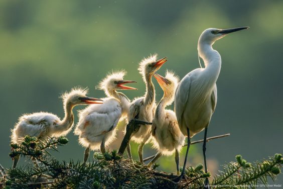 VIPA Vision Unbounded