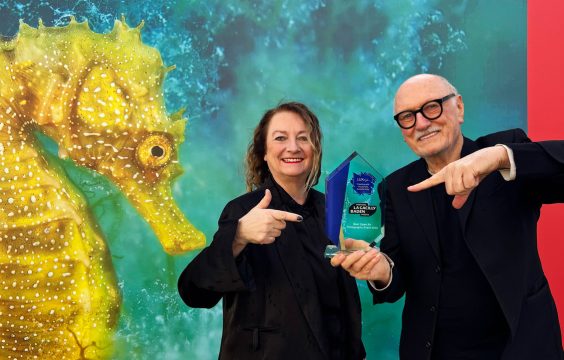 Open-Air-Fotografie-Event 2025