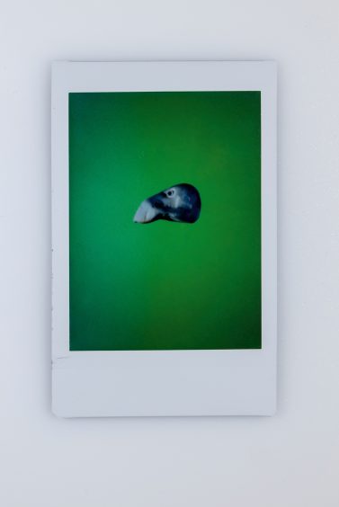 Florian W. M&uuml;ller