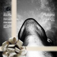 ProfiFoto Geschenk-Abo (Print & App) mit Prämie