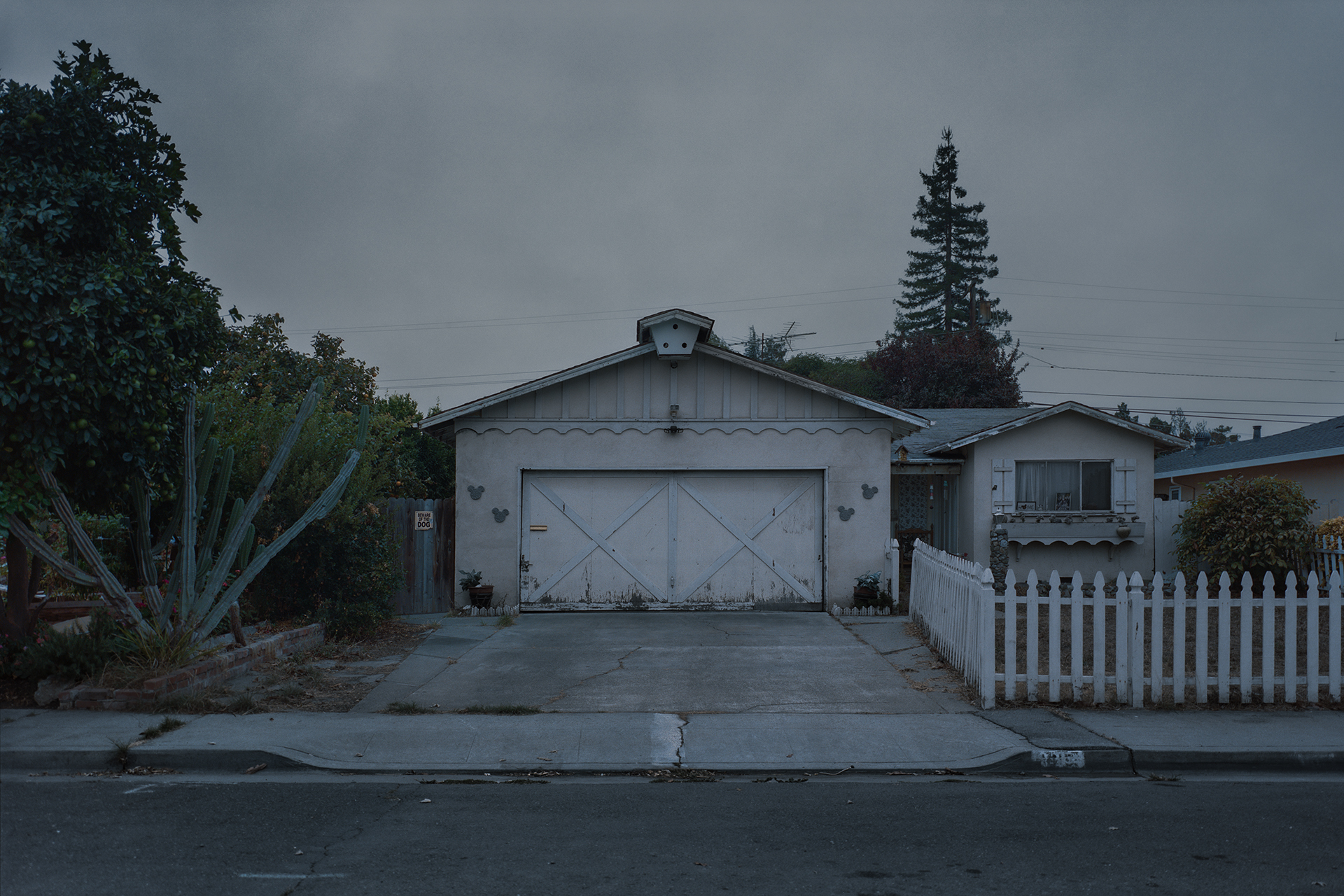 Identität, Metamorphose und innere Räume