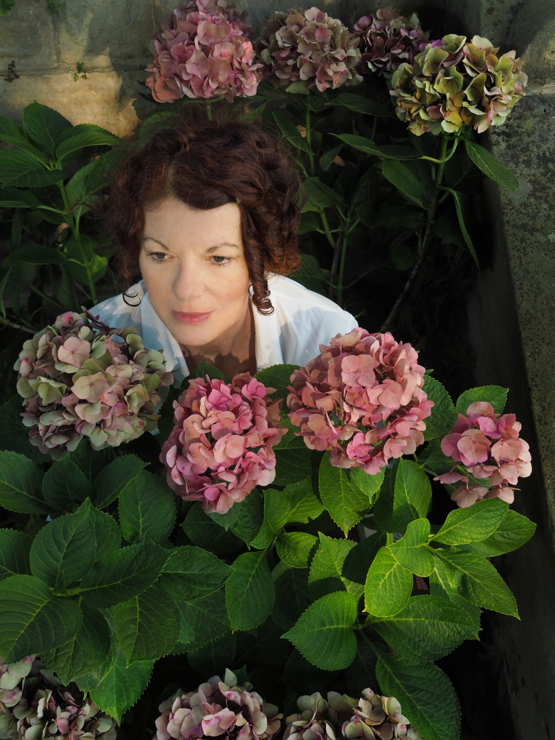 gute aussichten 2026