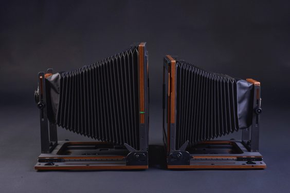 Analoge Fotografie im Fokus