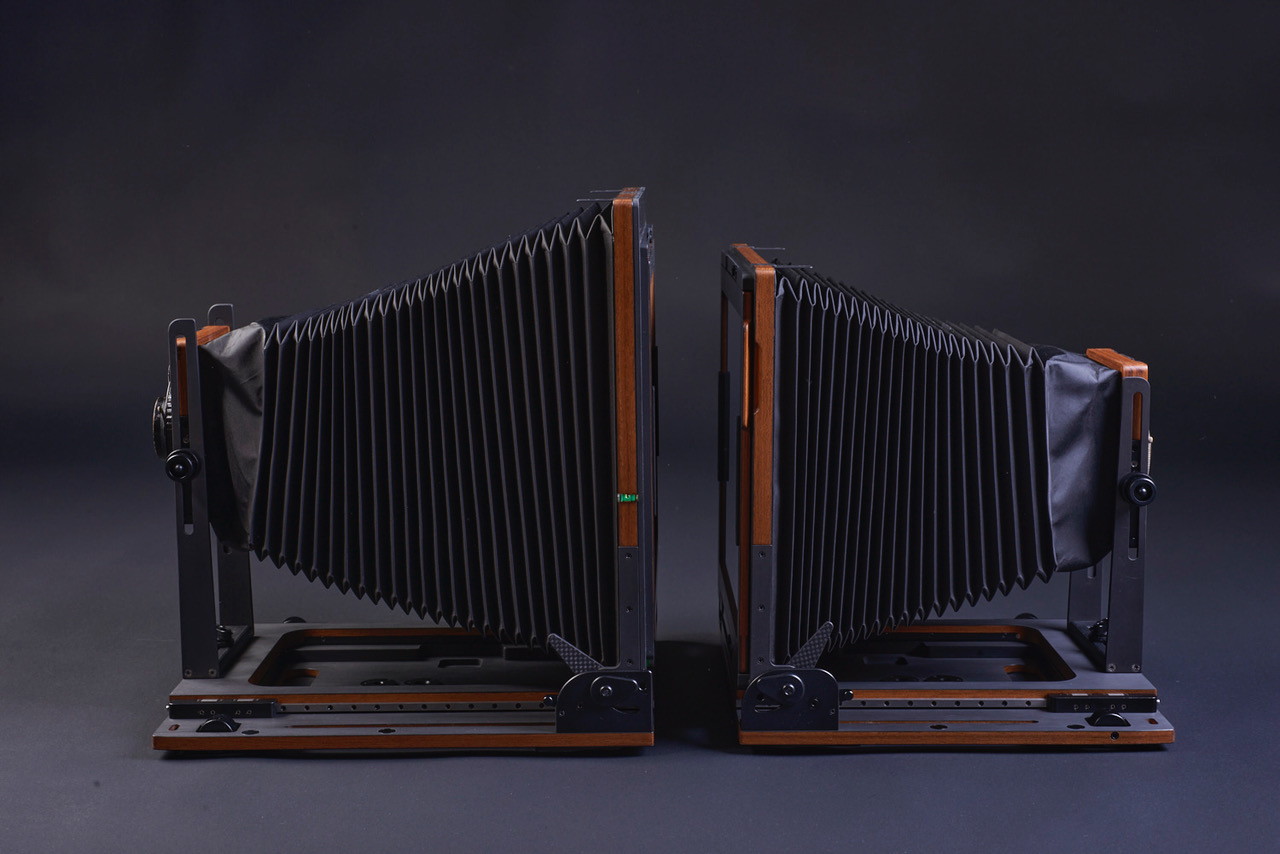 Analoge Fotografie im Fokus