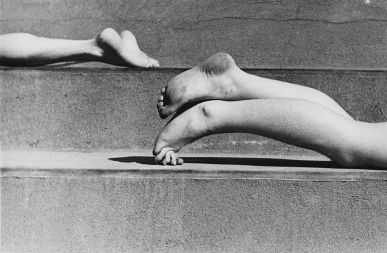 Fred Stein – Stadt. Leben. Portr&auml;t