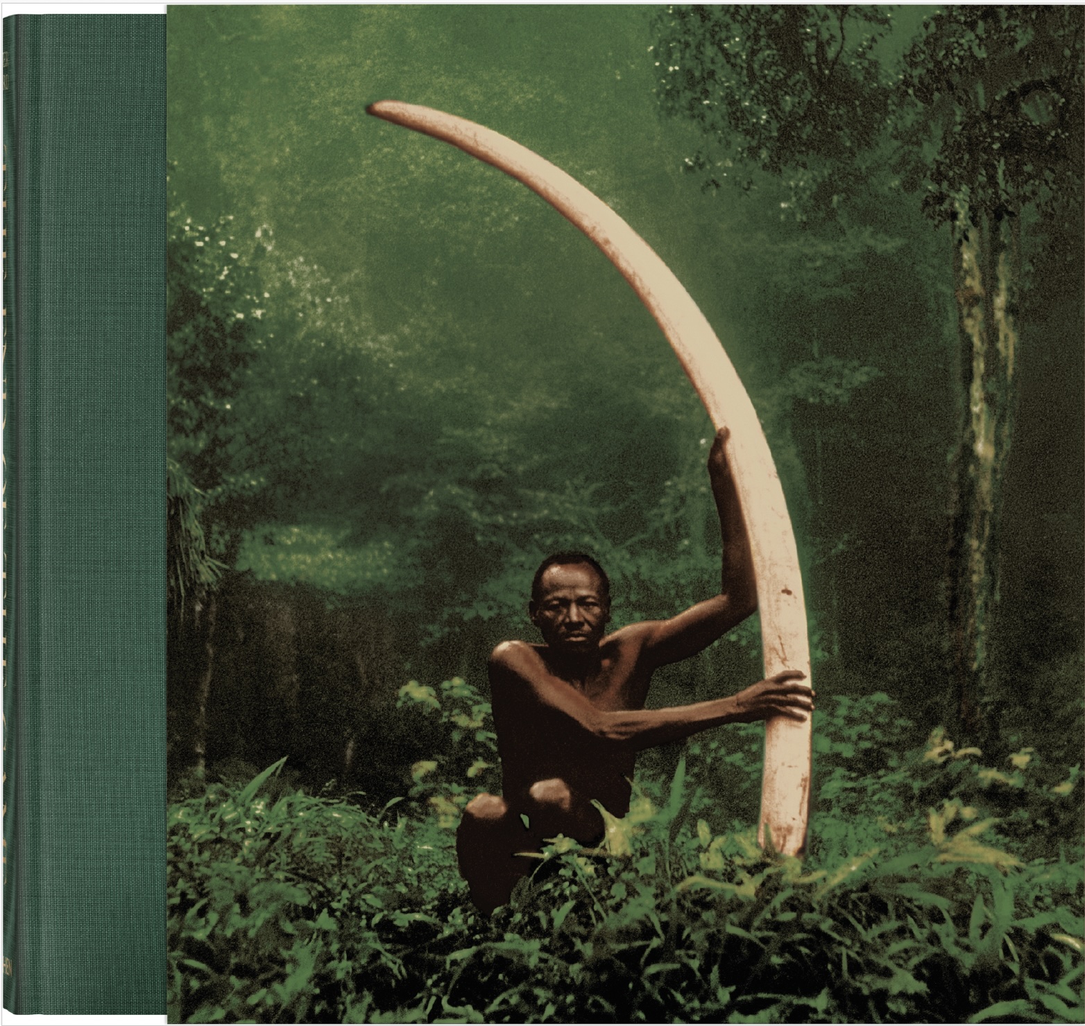 Peter Beard – The End of the Game