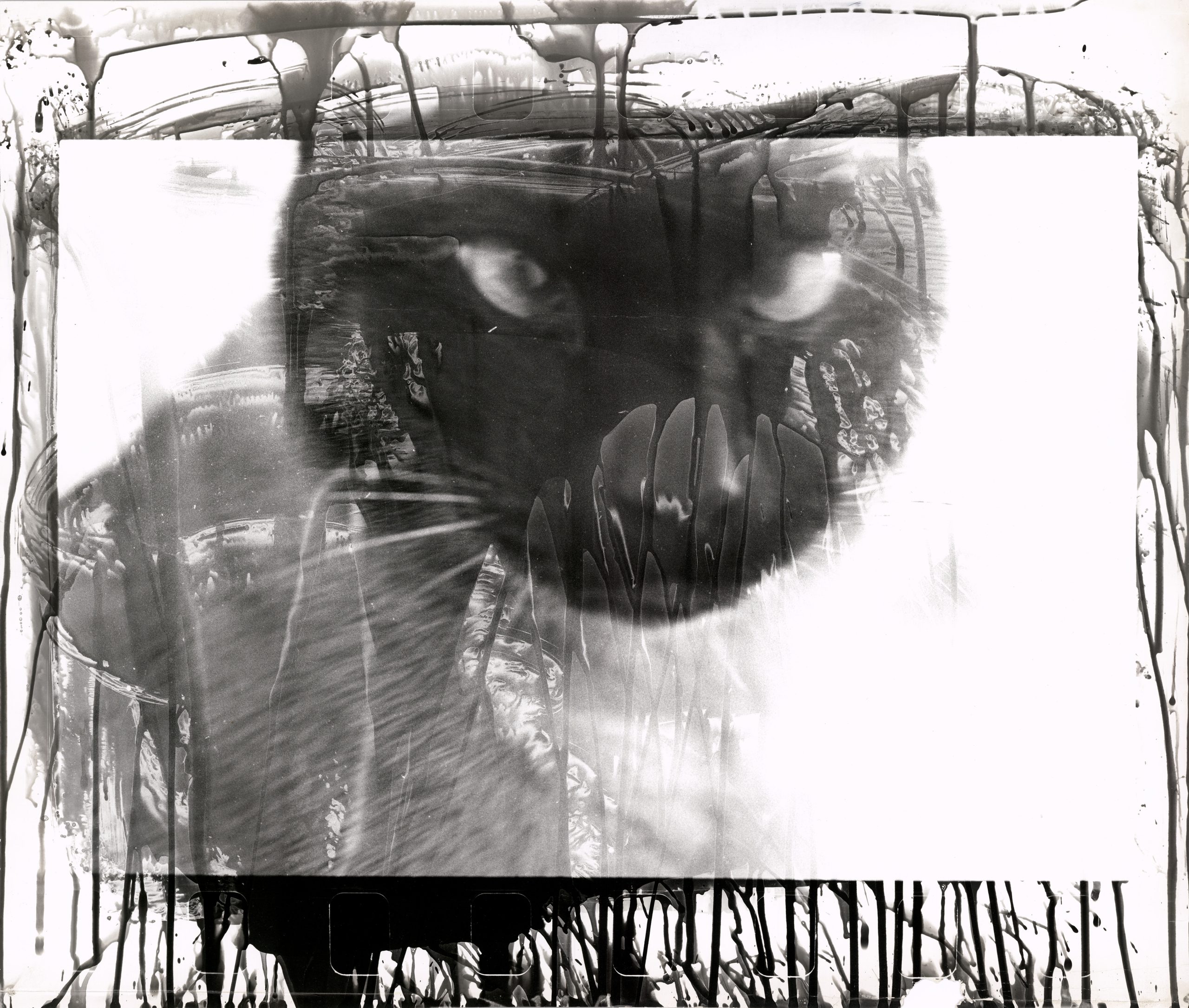 Walter Schels – 16° Fische