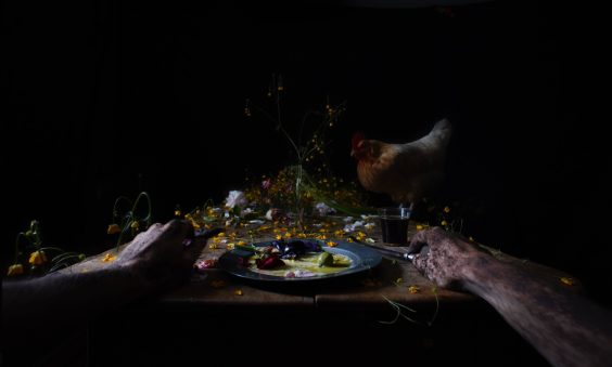 Emerging Photographer Award 2026