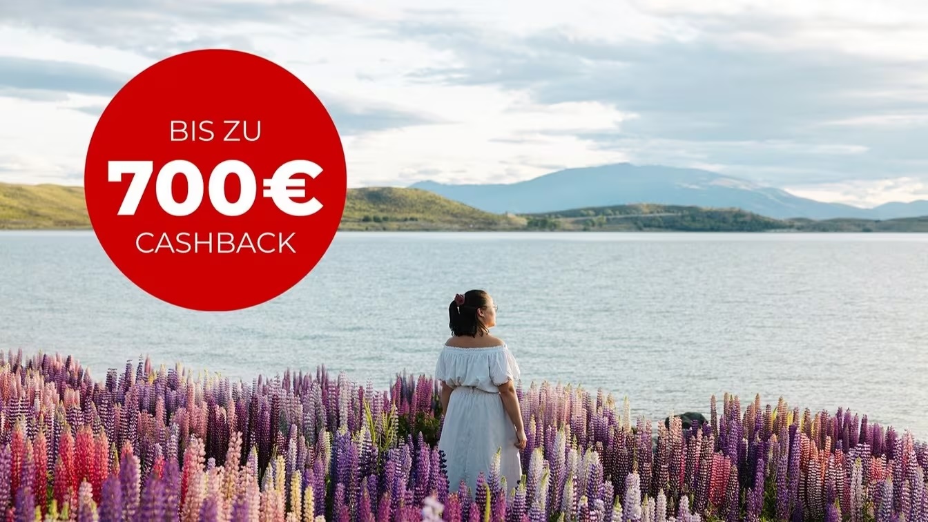 Cashback statt Comeback