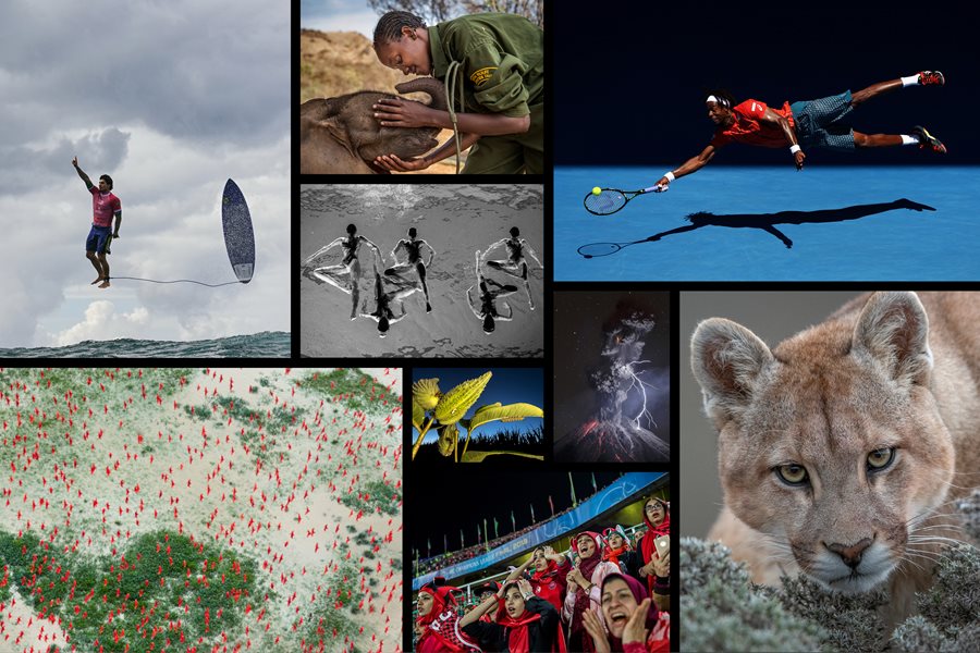 Neue Preise für Natur- und Sportfotografie